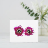 Zomerpetunia's Briefkaart (Staand voorkant)