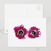 Zomerpetunia's Briefkaart (Voorkant / Achterkant)