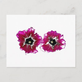 Zomerpetunia's Briefkaart