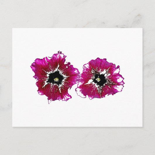 Zomerpetunia's Briefkaart (Voorkant)