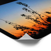 Zomerplant Silhouetten Poster (Hoek)