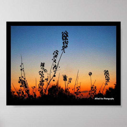 Zomerplant Silhouetten Poster (Voorkant)