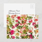  zomerroze pinda ' s bloemen briefkaart (Voorkant / Achterkant)