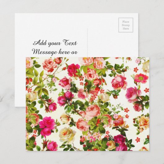 zomerroze pinda ' s bloemen briefkaart (Voorkant / Achterkant)