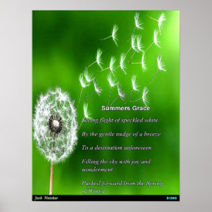 Zomers genade poster