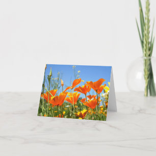 Zomers gevoel van wilde oranje bloemen. bedankkaart