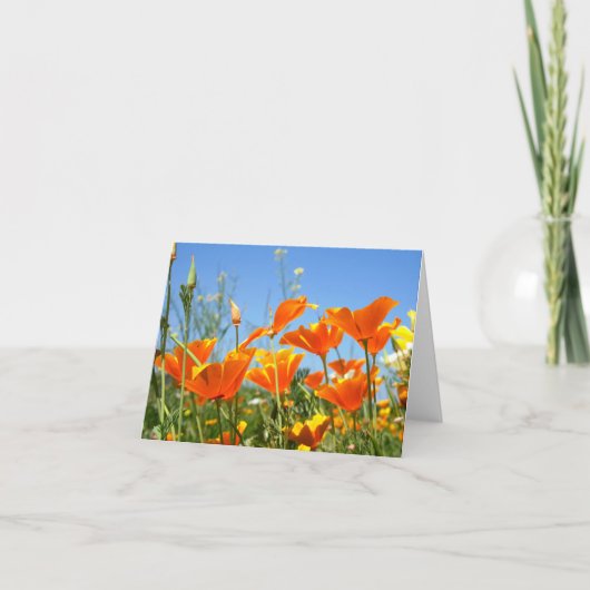 Zomers gevoel van wilde oranje bloemen. bedankkaart (Voorkant)