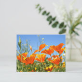 Zomers gevoel van wilde oranje bloemen. briefkaart (Staand voorkant)
