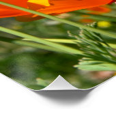 Zomers gevoel van wilde oranje bloemen. perfect poster (Hoek)