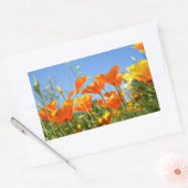 Zomers gevoel van wilde oranje bloemen. rechthoekige sticker (Envelop)