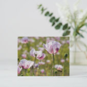 Zomers veld met  lila bloemen in bloei. briefkaart (Staand voorkant)