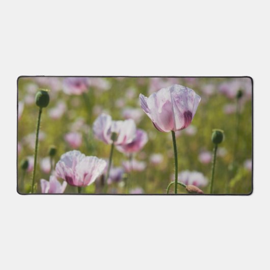 Zomers veld met  lila bloemen in bloei. bureaumat (Voorkant)