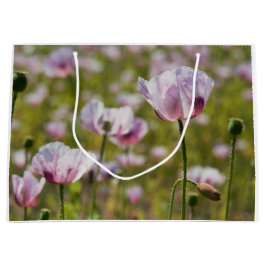 Zomers veld met  lila bloemen in bloei. groot cadeauzakje