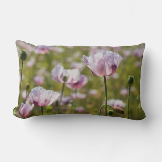 Zomers veld met  lila bloemen in bloei. kussen (Voorkant)