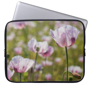 Zomers veld met lila bloemen in bloei. laptop sleeve