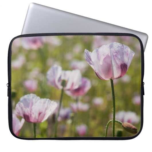 Zomers veld met lila bloemen in bloei. laptop sleeve (Voorkant)