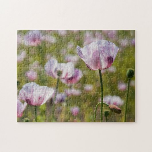 Zomers veld met lila bloemen in bloei. legpuzzel (Horizontaal)