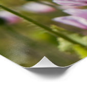 Zomers veld met  lila bloemen in bloei. perfect poster (Hoek)