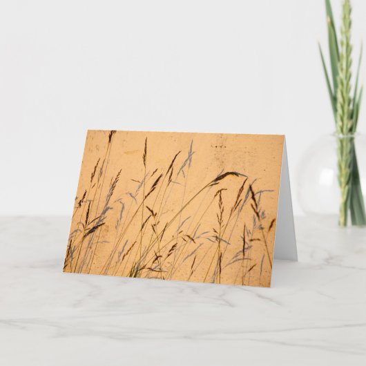 Zomerschaduwen Kaart (Voorkant)