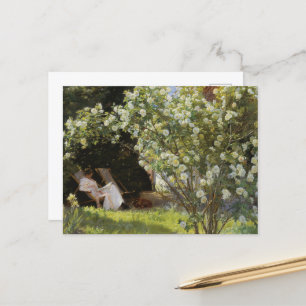  zomerschilderij witte rozen lezen vrouw briefkaart