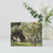  zomerschilderij witte rozen lezen vrouw briefkaart (Staand voorkant)