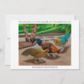 Zomerse Boerderij Scene In Helder Zonlicht Verjaar (Voorkant)