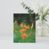 zomerse daglelies briefkaart (Staand voorkant)