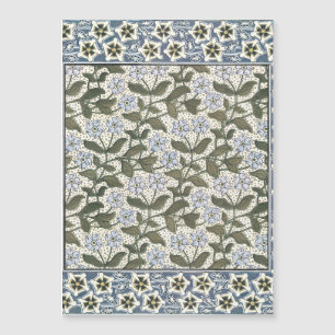 Zomerse maagdenpalmbloem  Elegant Bloemen