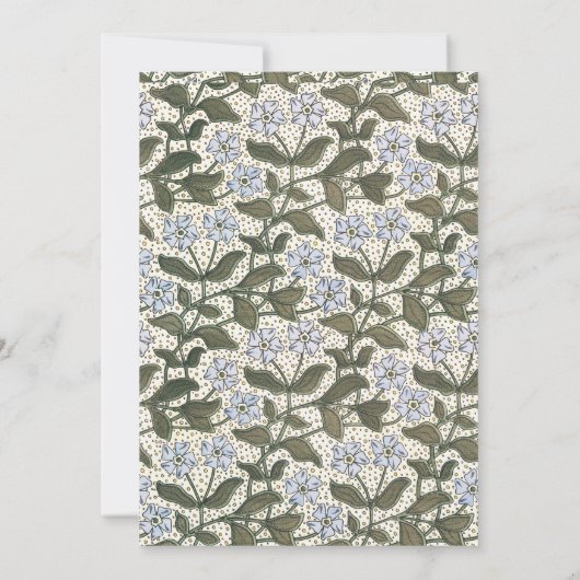 Zomerse maagdenpalmbloem Elegant Bloemen Kaart (Achterkant)