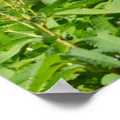 Zomerse Planten in het park Poster (Hoek)