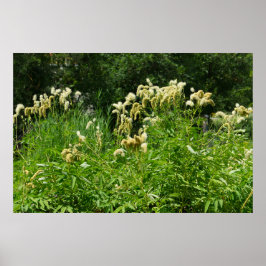 Zomerse Planten in het park Poster