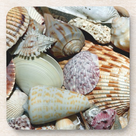 Zomerseizoen Seashell Onderzetter (Voorkant)