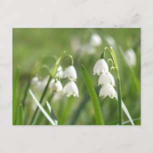 Zomersneeuwvlokken DIY Ansichtkaart Feestdagenkaart