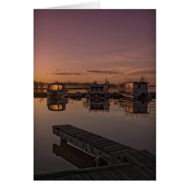 zomersoliset (Voorkant)