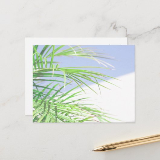 Zomerstemming Palmboom Bladeren Bleekgroene Pastel Briefkaart (Voorkant / Achterkant in situ)