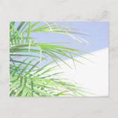 Zomerstemming Palmboom Bladeren Bleekgroene Pastel Briefkaart (Voorkant)