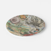 Zomerstrand  octopus antiek zeilen papieren bordje (Gekanteld)