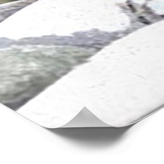 Zomerstream foto rustige scène poster (Hoek)