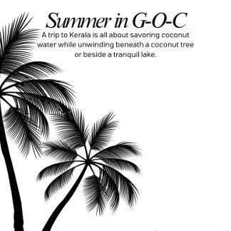 Zomert-shirts T-shirt