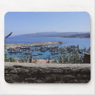 Zomertapijten voor muizen muismat