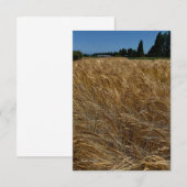 zomertarweveld notitiekaartje (Voorkant / Achterkant)