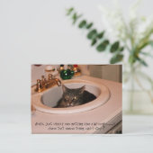 zomertijd coole kat briefkaart (Staand voorkant)
