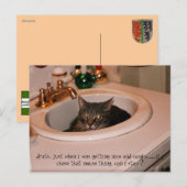 zomertijd coole kat briefkaart (Voorkant / Achterkant)