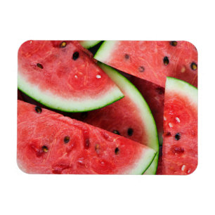 Zomertijd koude watermeloenen magneet