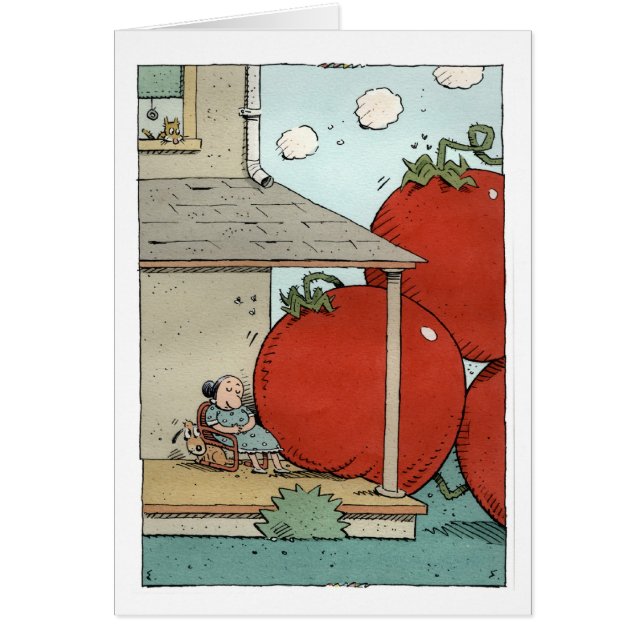 zomertomaten (Voorkant)