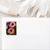 Zomertuin adresetiketten etiket (Insitu)