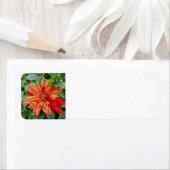 zomertuin etiket (Insitu)