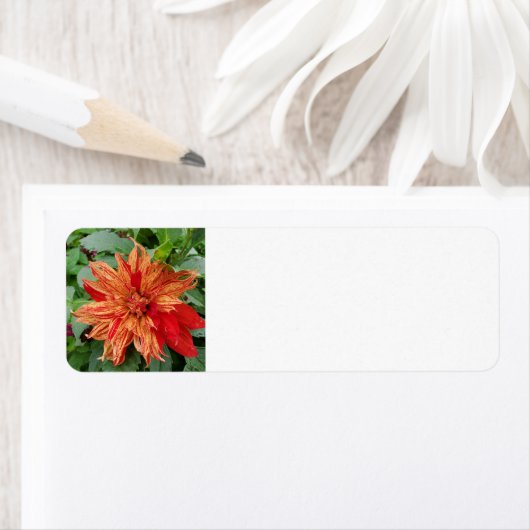 zomertuin etiket (Insitu)