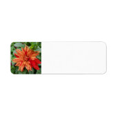 zomertuin etiket (Voorkant)