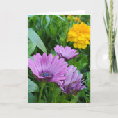 zomertuin kaart (Voorkant)